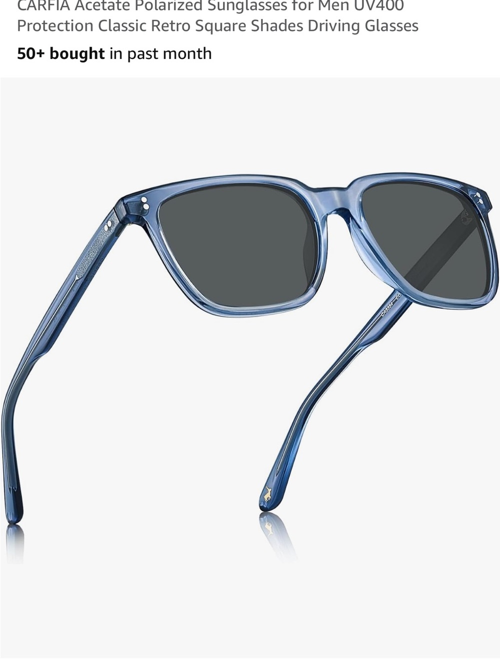 Men's Polarized Sunglasses in Blue - Classic Retro Square